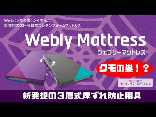 �����֥꡼�ޥåȥ쥹 83�� �쥮��顼 CR-800